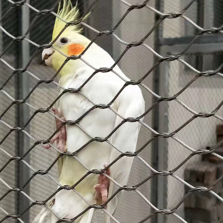 不銹鋼百鳥(niǎo)園網(wǎng)